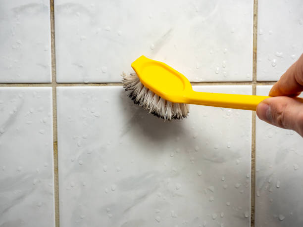 Best Home Mold Removal  in Shamrock, TX