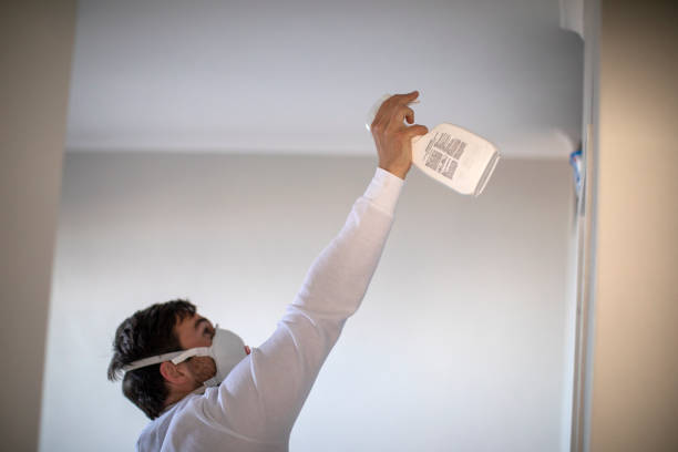 Best Attic Mold Removal  in Shamrock, TX
