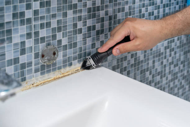 Best Mold Removal Near Me  in Shamrock, TX